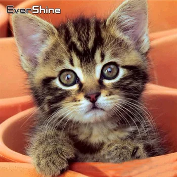 EverShine Diamond Mozaiky Zvieratá, Vyšívanie, 5D Diamond Výšivky Mačka Mozaikové Obrazy Obraz Kamienkami Hobby Ručné