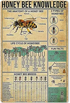 Honey Bee Vedomosti Wall Art Decor Retro Kovov Cín Znaky Životného Cyklu Včiel Medonosných Vytlačený Plagát Farma, Statok Školy Kaviareň Living