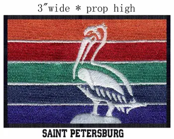 Saint Petersburg, Florida, USA Vlajkou 3