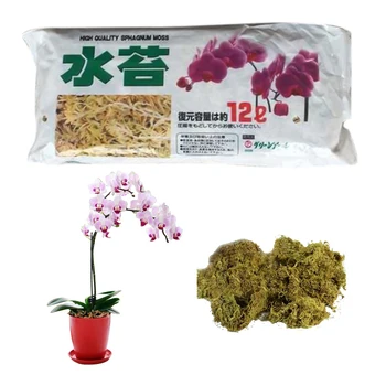 12L Sphagnum Moss Hydratačné Výživa Organickými Hnojivami Chrániť Orchidea Sukulentných Rastlín Korene DIY kvetináče Na Záhrade